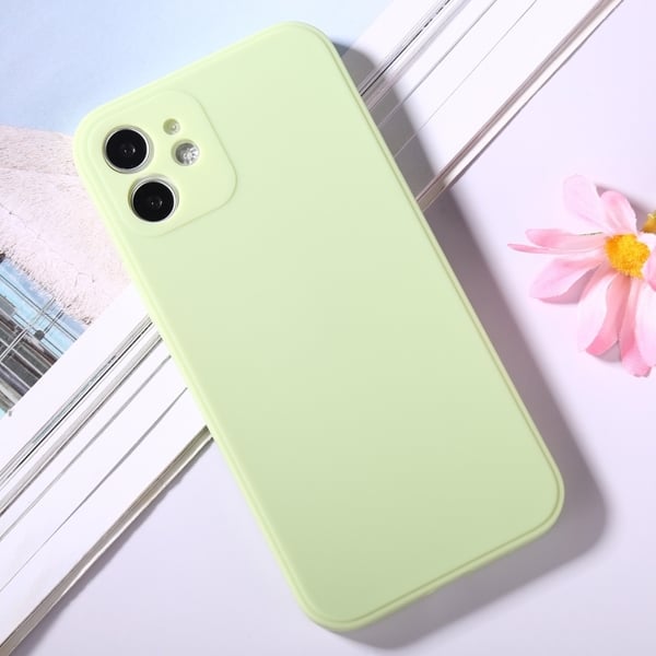 Iphone 12 Pro Max Skal