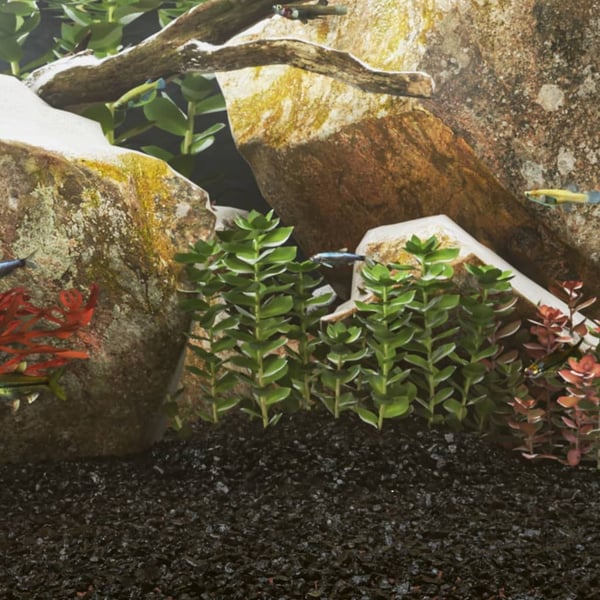 vidaXL akvariesand 10 kg 0,2-2 mm sort