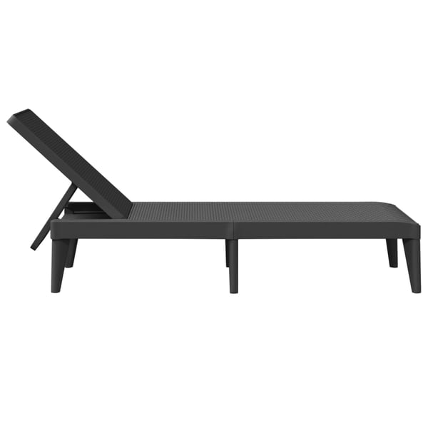 vidaXL Solseng antrasitt 186x60x29 cm PP