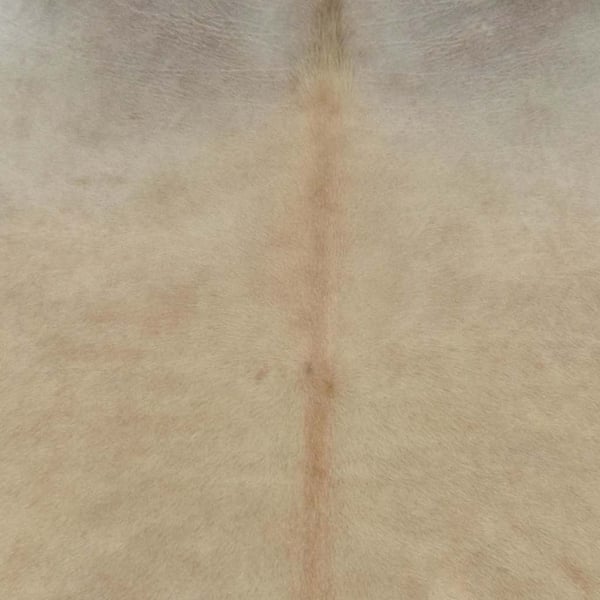 vidaXL koskind 180x220 cm beige