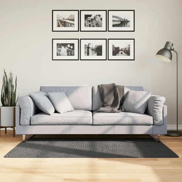 vidaXL Rug IZA kort luv skandinavisk utseende antrasitt 80x150 cm