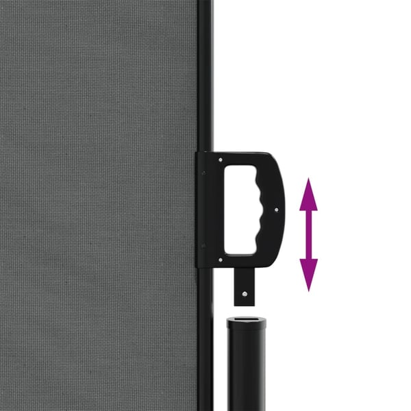vidaXL Uttrekkbar sidemarkise 220x1200 cm antrasitt