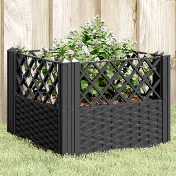 vidaXL Plantekasse med plugger svart 43,5x43,5x43,5 cm PP