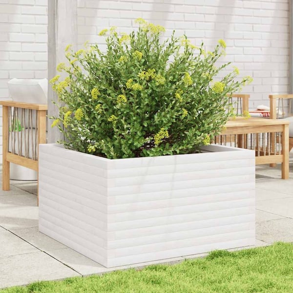 vidaXL plantekasse 80x80x46 cm massivt fyrretræ hvid