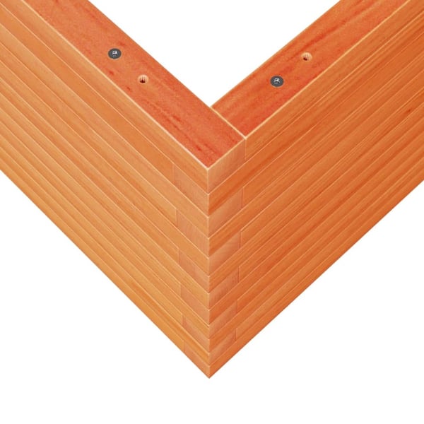 vidaXL plantekasse 50x50x45,5 cm massivt fyrretræ gyldenbrun