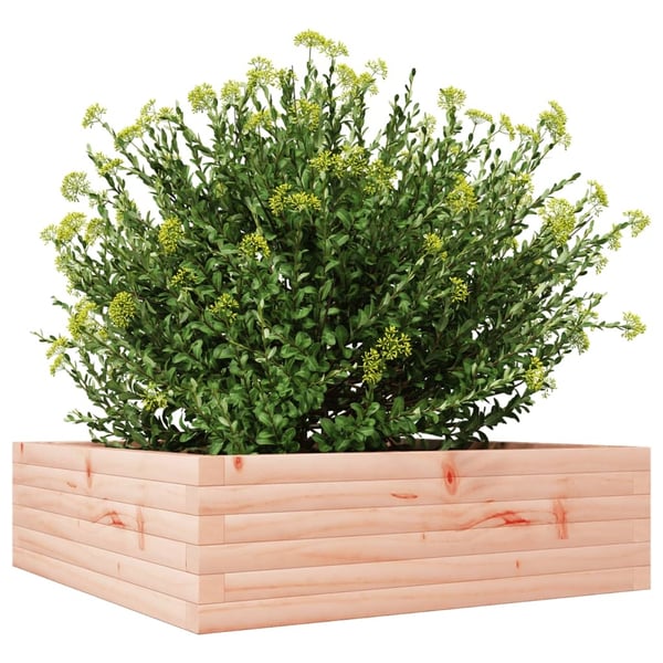 vidaXL plantekasse 80x80x23 cm massivt douglasgran