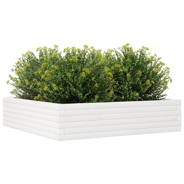 vidaXL plantekasse 100x100x23 cm massivt fyrretræ hvid