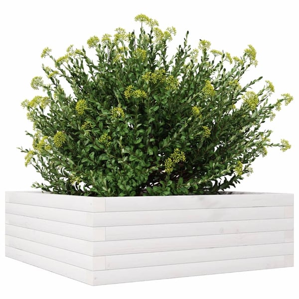 vidaXL plantekasse 70x70x23 cm massivt fyrretræ hvid