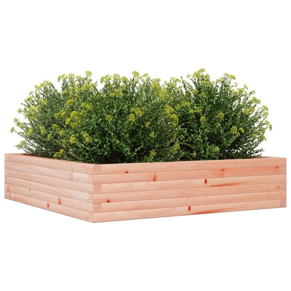 vidaXL plantekasse 100x100x23 cm massivt douglasgran