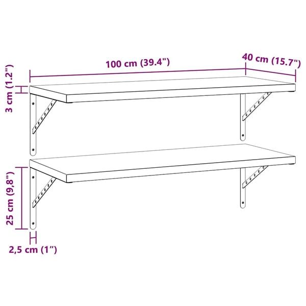 vidaXL Vegghyller 2 stk 100x40 cm svart rustfritt stål