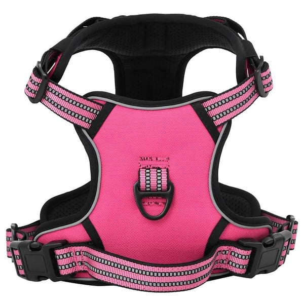 vidaXL Koiran valjaat hihnalla ja kaulapannalla säädettävä pinkki L