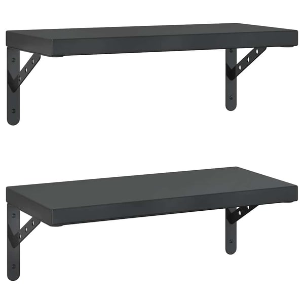 vidaXL Vegghyller 2 stk 50x23,5 cm svart rustfritt stål