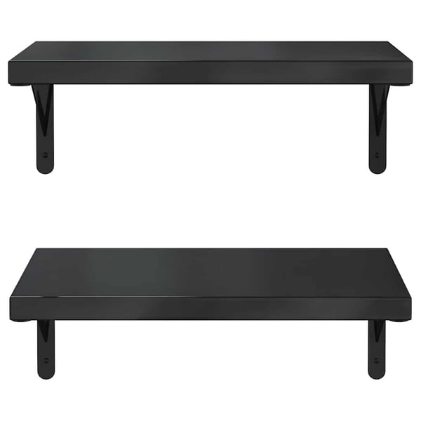 vidaXL Vegghyller 2 stk 50x30 cm svart rustfritt stål
