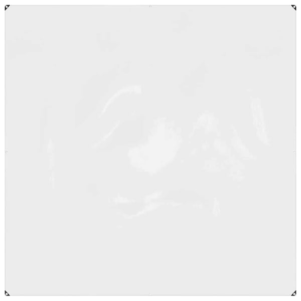 vidaXL Gjennomsiktig presenning med maljer 2x2 m PVC