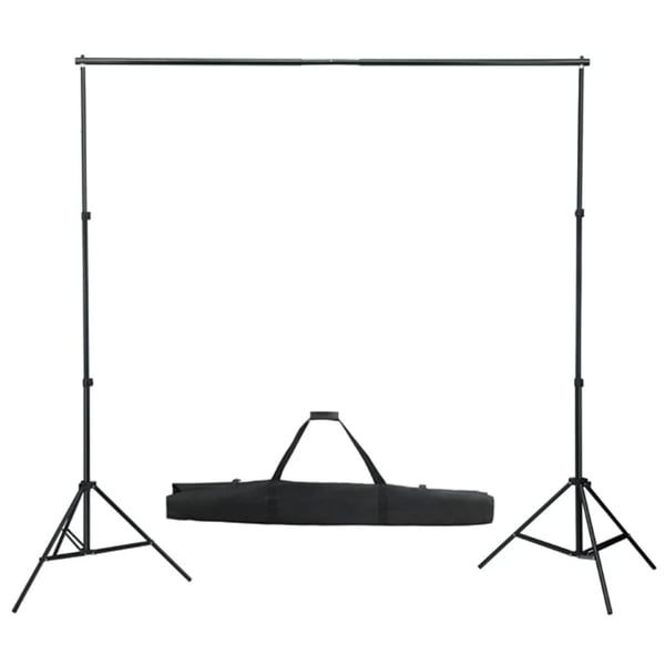 vidaXL Teleskopisk bakgrunnssystem 155-300 cm
