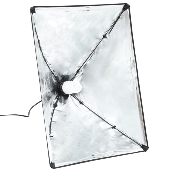 vidaXL Ammattimaiset studiovalot 2 kpl 40x60 cm teräs musta
