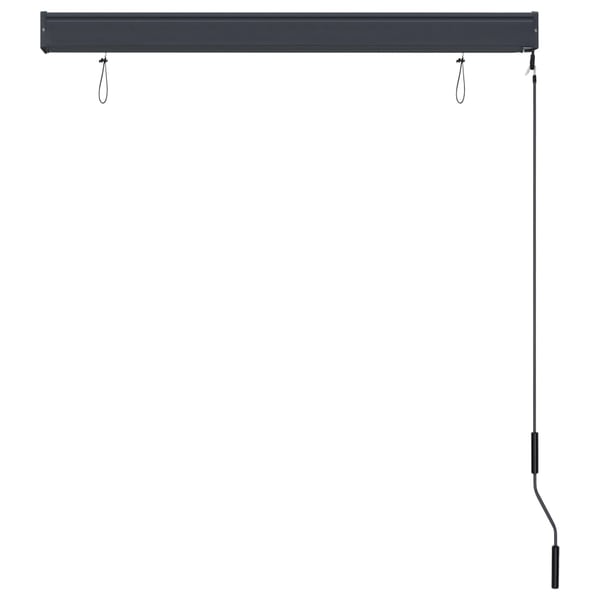 vidaXL Utendørs rullegardin 120x250 cm antrasitt