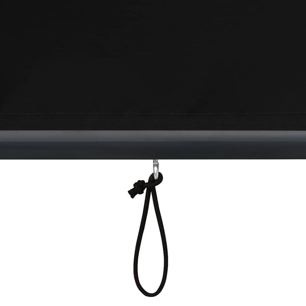 vidaXL Utendørs rullegardin 60x250 cm antrasitt
