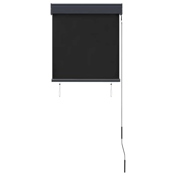 vidaXL Utendørs rullegardin 60x250 cm antrasitt
