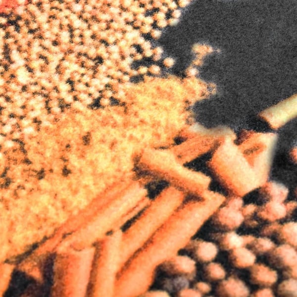 vidaXL Kjøkkenmatte vaskbar Spice 60x180 cm