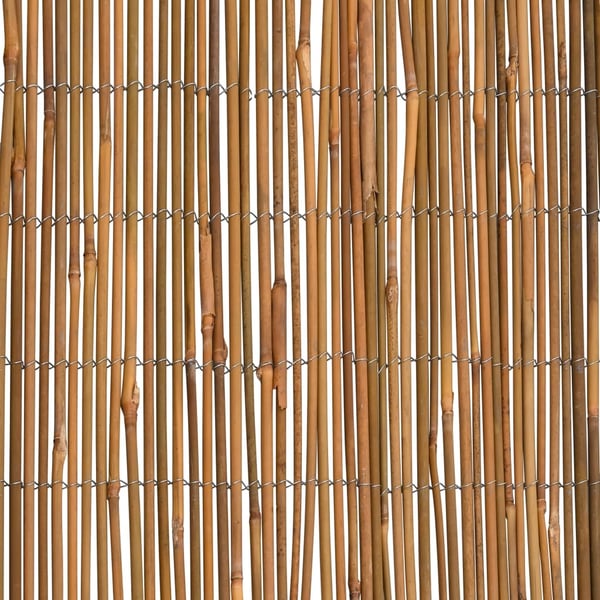 vidaXL bambushegn 500x100 cm