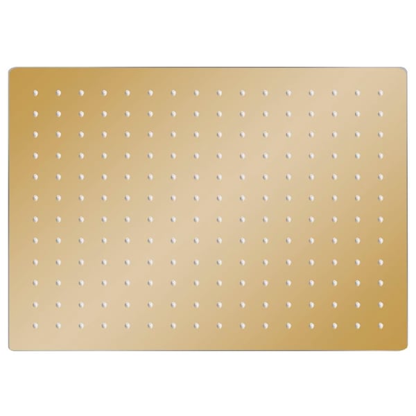 vidaXL Regndusjhode rustfritt stål 40x30 cm firkantet gull
