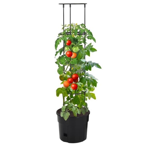 vidaXL Tomatpotte antrasitt Ø29,5x115 cm polypropylen