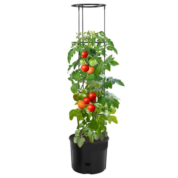 vidaXL Tomatpotte antrasitt Ø39x150 cm polypropylen