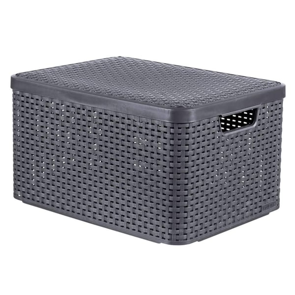 Curver Förvaringslåda med lock Style L 30L metallisk silver