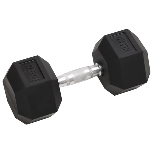 vidaXL Käsipainot 2 kpl 25 kg valurauta