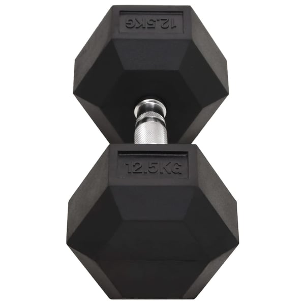 vidaXL Käsipainot 2 kpl 25 kg valurauta