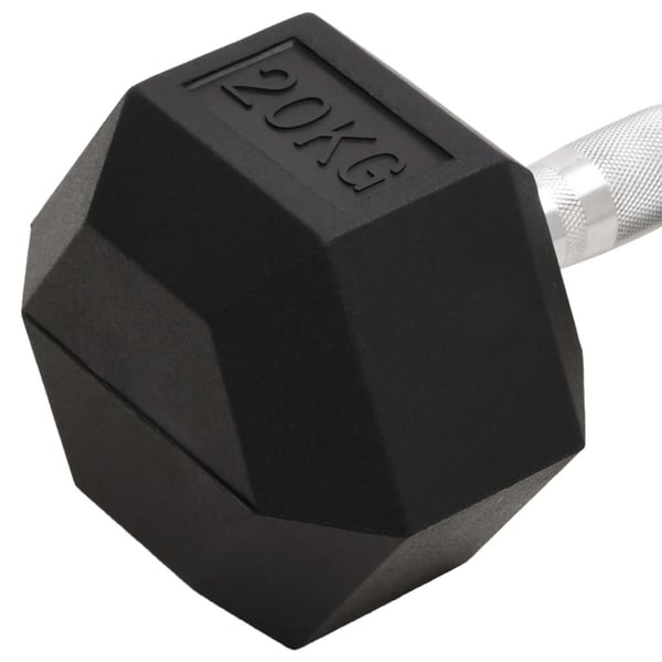 vidaXL håndvægt 20 kg støbejern