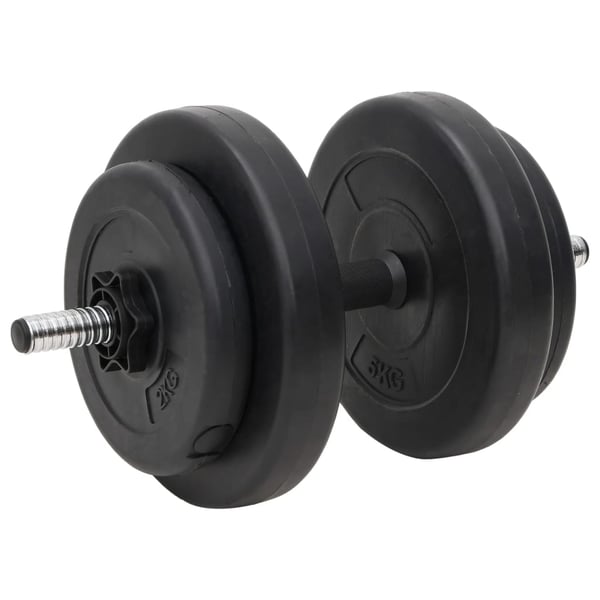 vidaXL Vektstang og manual med skiver 60 kg