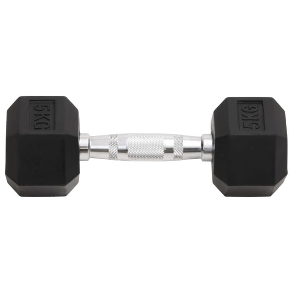 vidaXL Käsipainot 2 kpl 10 kg valurauta