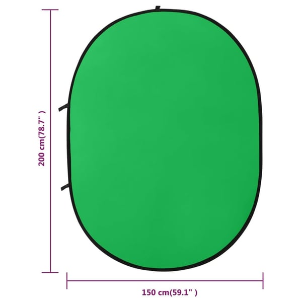 vidaXL 2 in 1 Ovaali studio taustakangas vihreä ja sininen 200x150 cm