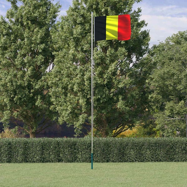 vidaXL Belgisk flagg og stang 6,08 m aluminium