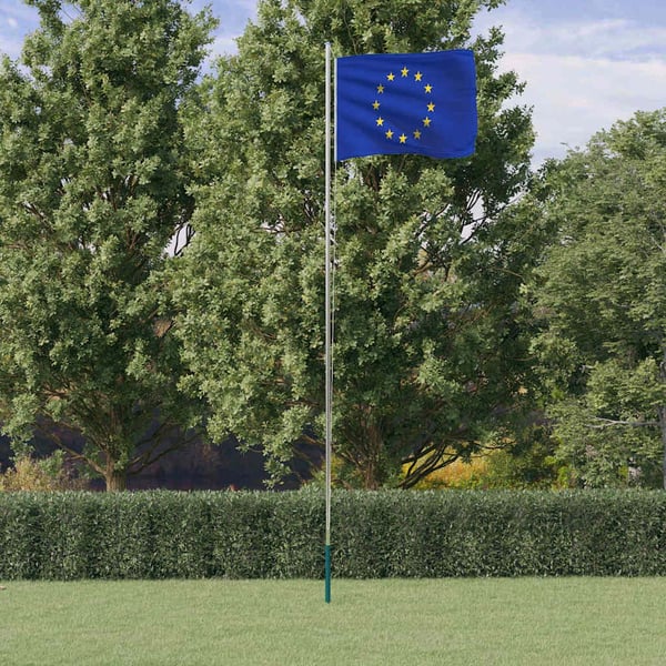 vidaXL Europeisk flagg og stang 6,08 m aluminium