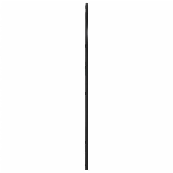 vidaXL vægspejl 80x100 cm buet jern sort