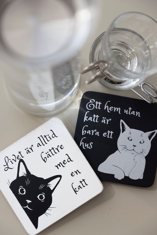 Glasbrikker kat med forskellige tekster i æske, 4 stk/æske