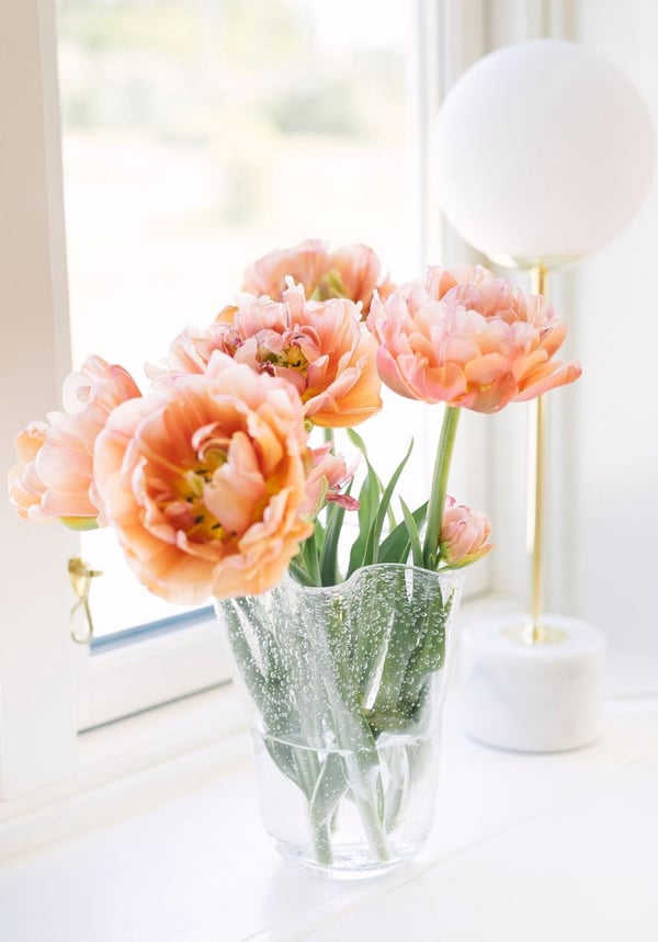 Tulip Tulipanvase 20cm Glas Dorre