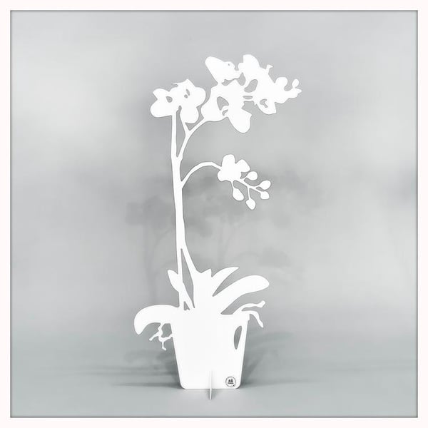 Orkidea - ETERNITY Koriste 50cm Orkidea - ETERNITY Koriste 50cm