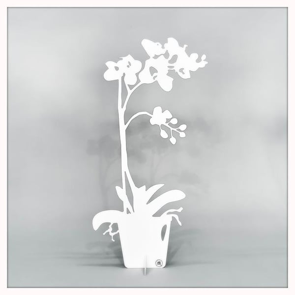 Orkidé - ETERNITY Dekoration 50cm