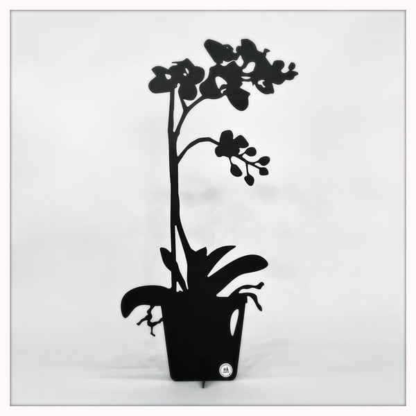 Orkidea - ETERNITY Koriste 50cm Orkidea - ETERNITY Koriste 50cm