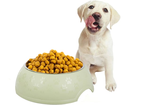 Hundematskål / Vannskål til Hund - 1,2L