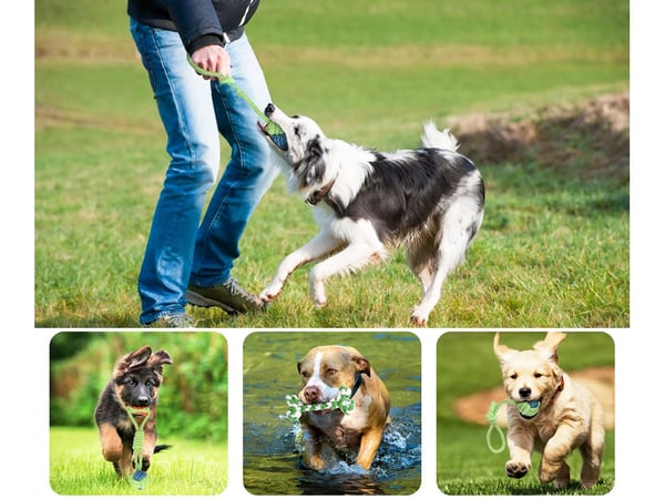Draleke / Kampleke for Hund - Hundeleke