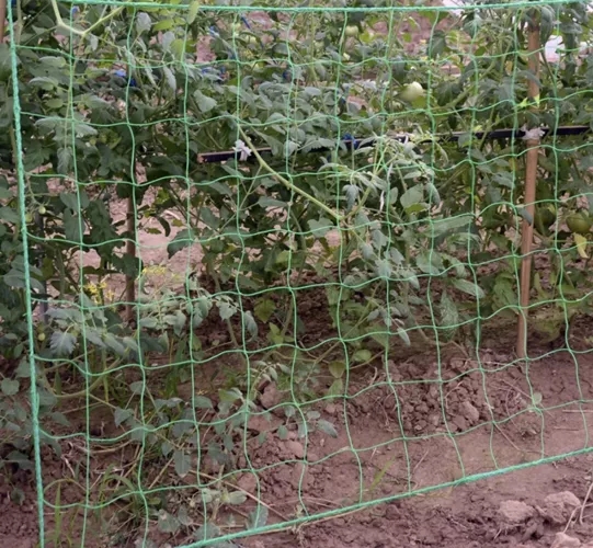 Plantnett / Støttenett for Planter - 2x10m