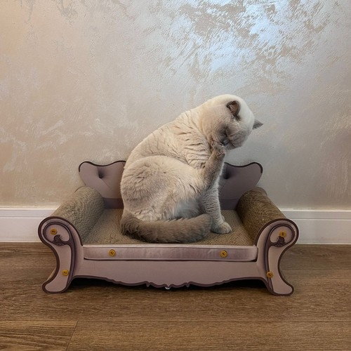 Klösbräda för Katt - Till Soffa