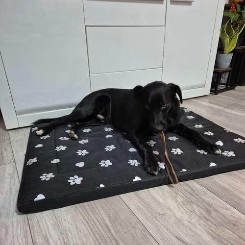 Hundeseng / Hundeseng - Soveplass for hunder - 100x70cm