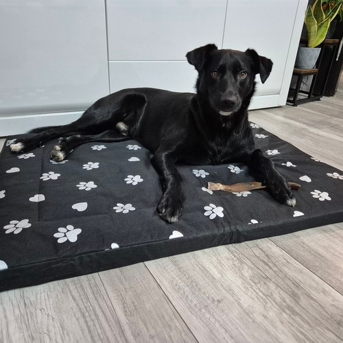 Hundeseng / Hundeseng - Soveplass for hunder - 100x70cm