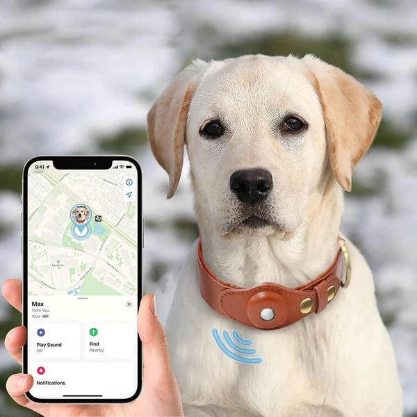 AirTag Hundehalsbånd - Halsbånd til hund - L (Rosa)